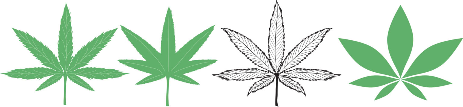 cannabis